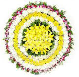 Զҵ